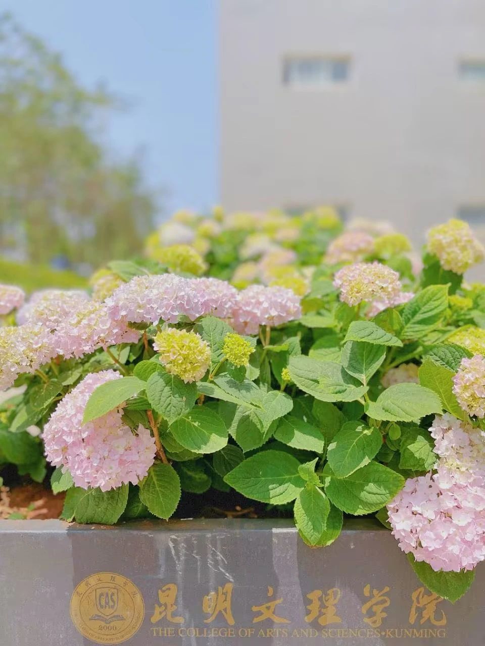 微信图片_20230506110543