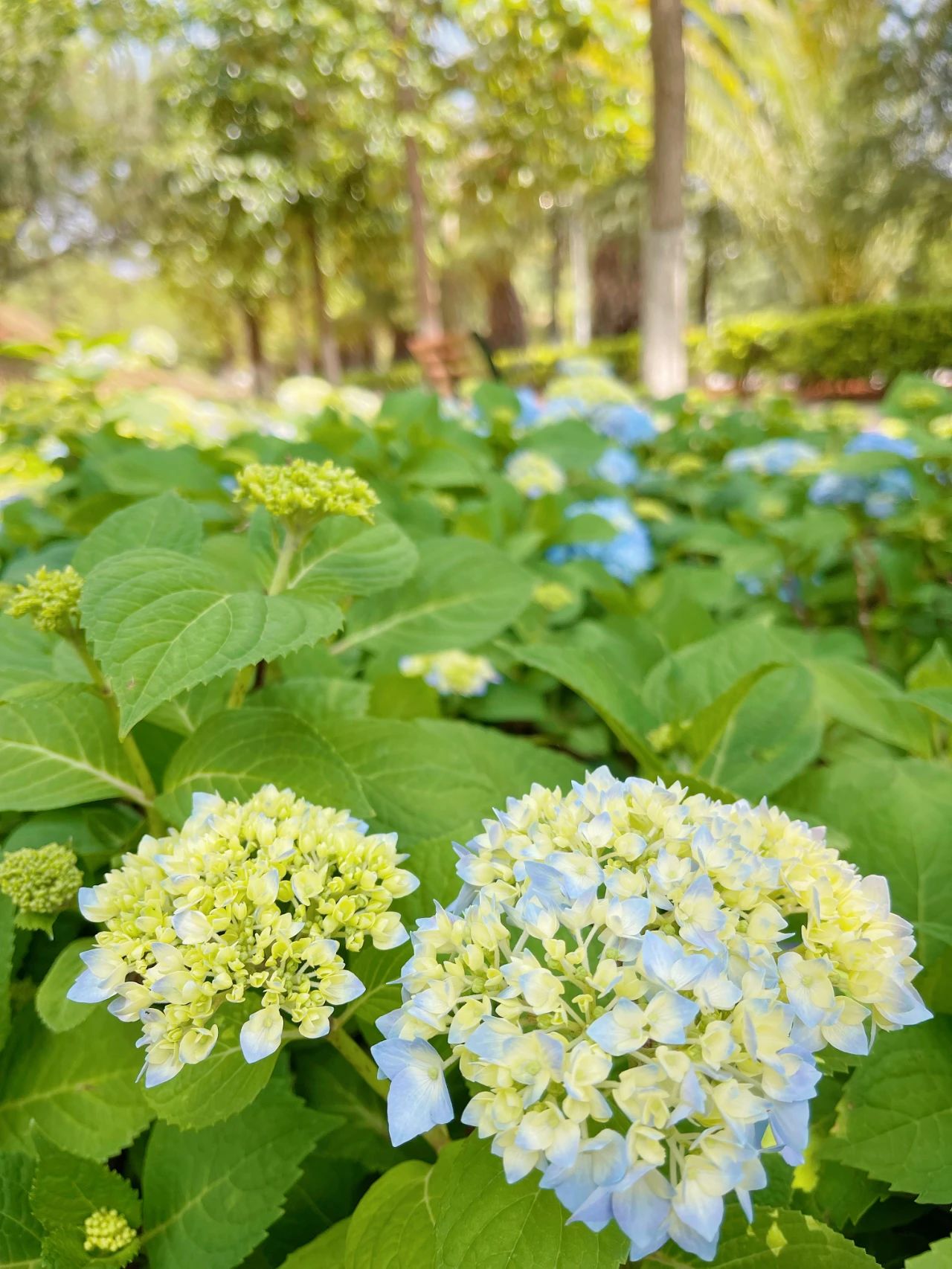 微信图片_20230506110551