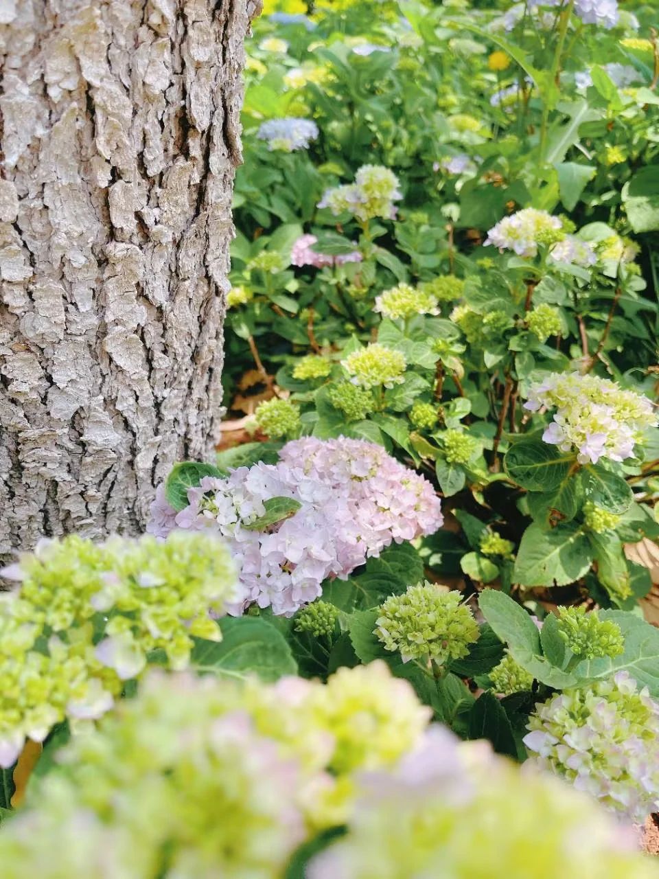 微信图片_20230506110555