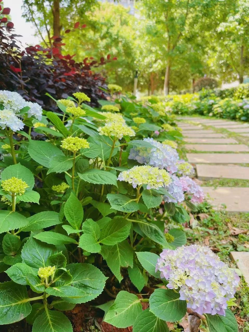 微信图片_20230506110548