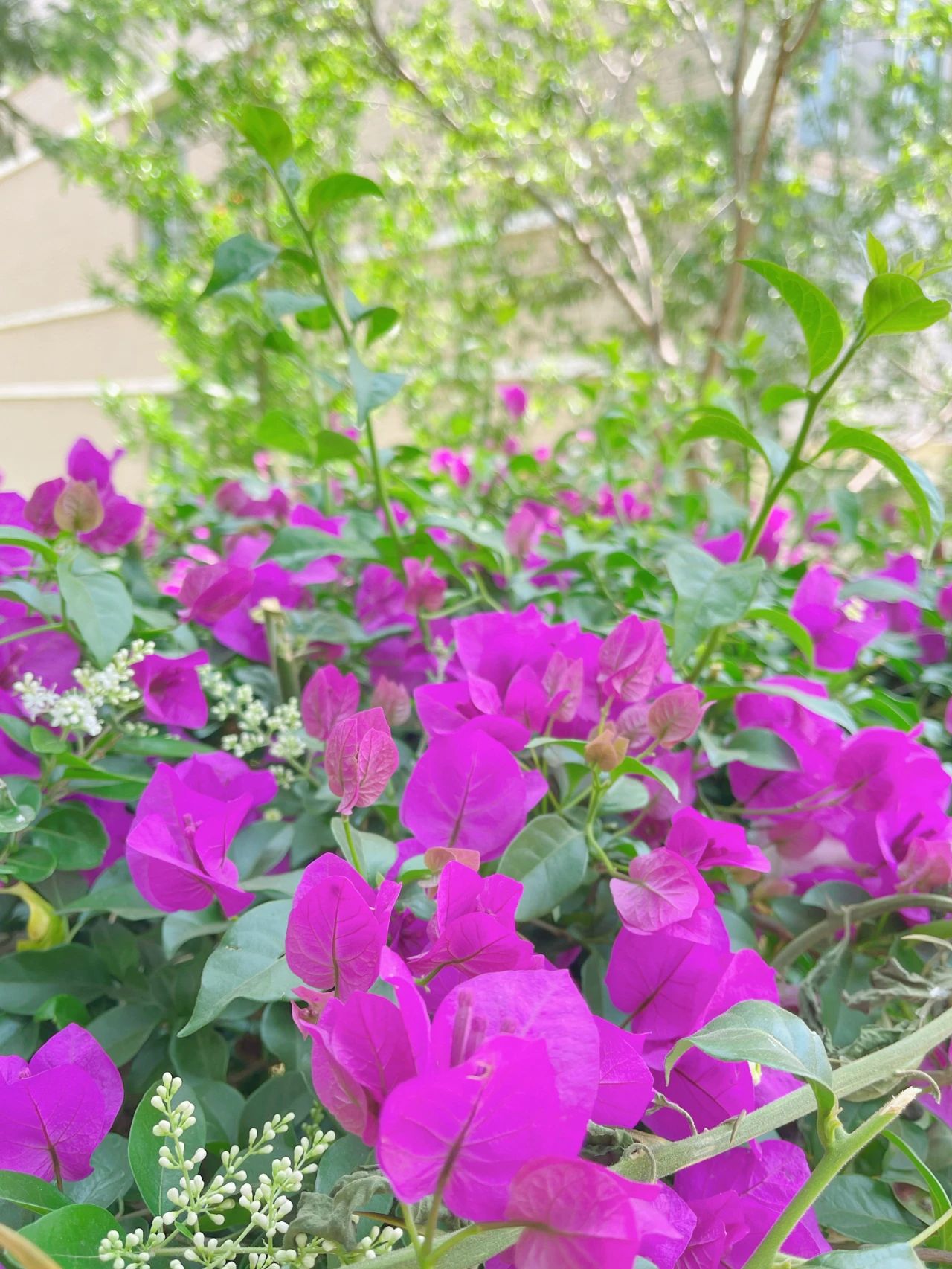 微信图片_20230506110603