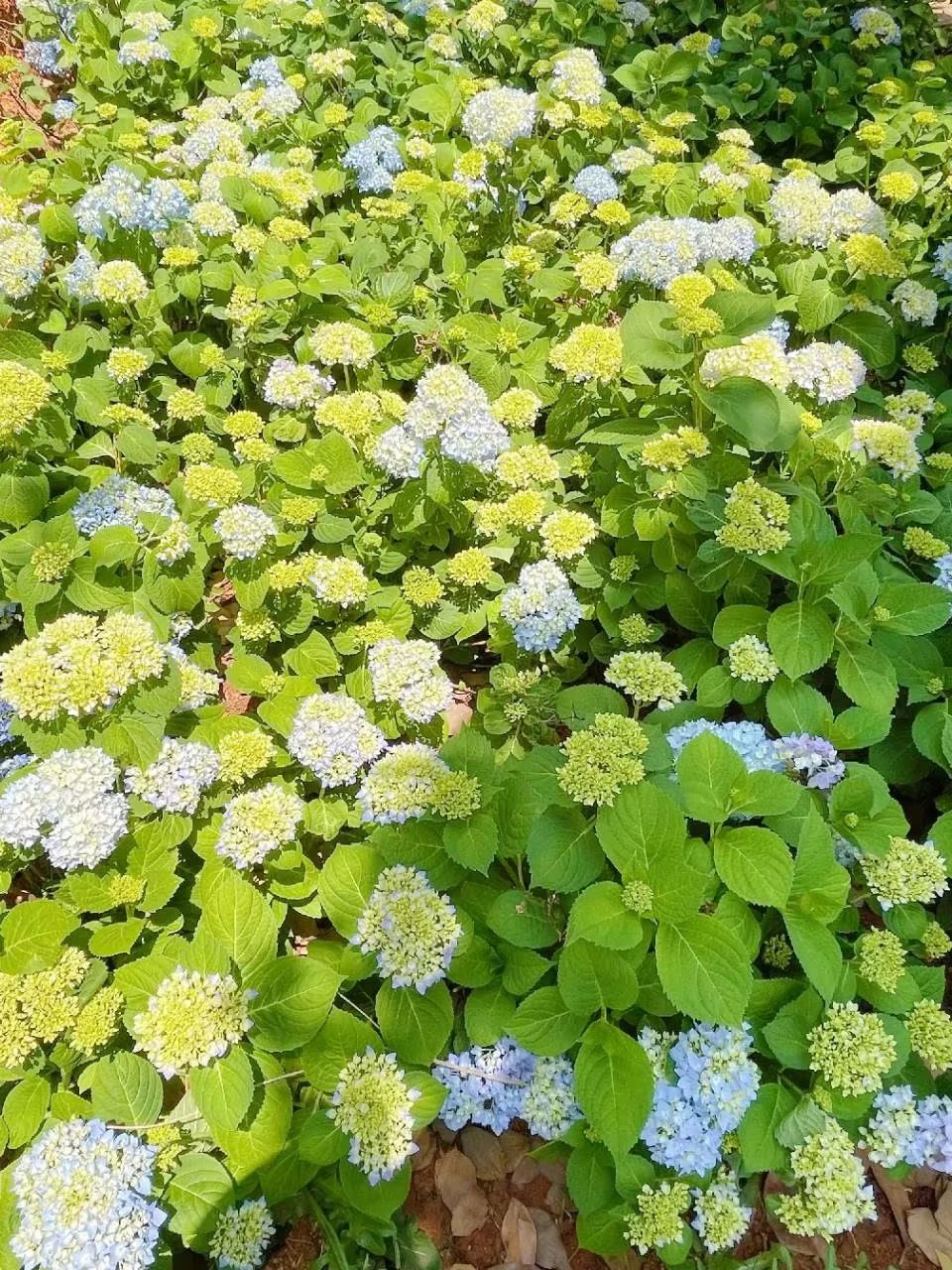 微信图片_20230506110559