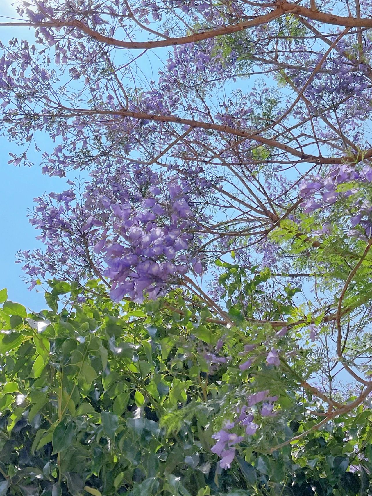 微信图片_20230506110606