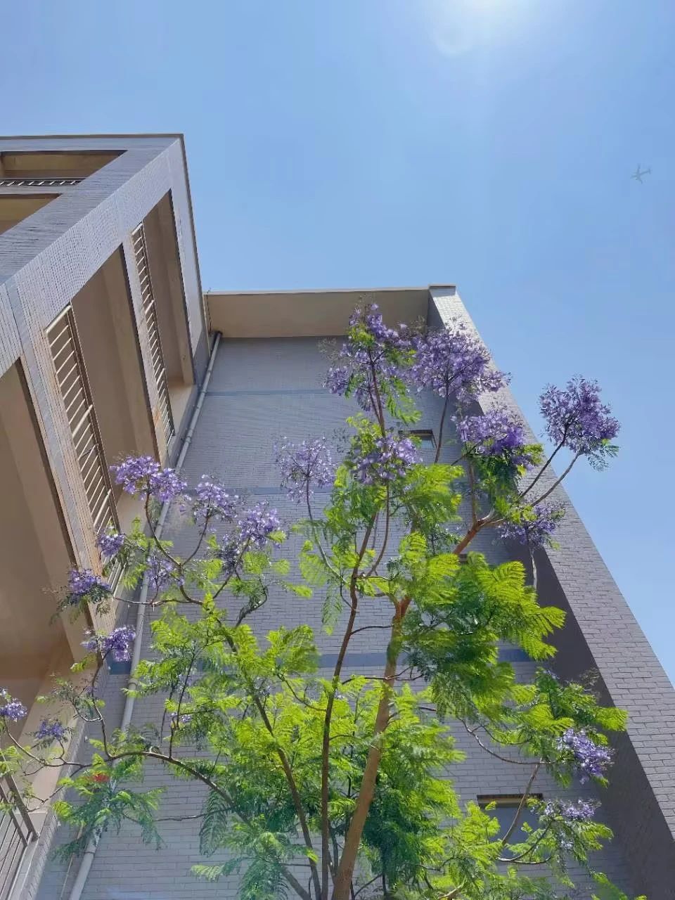 微信图片_20230506110614