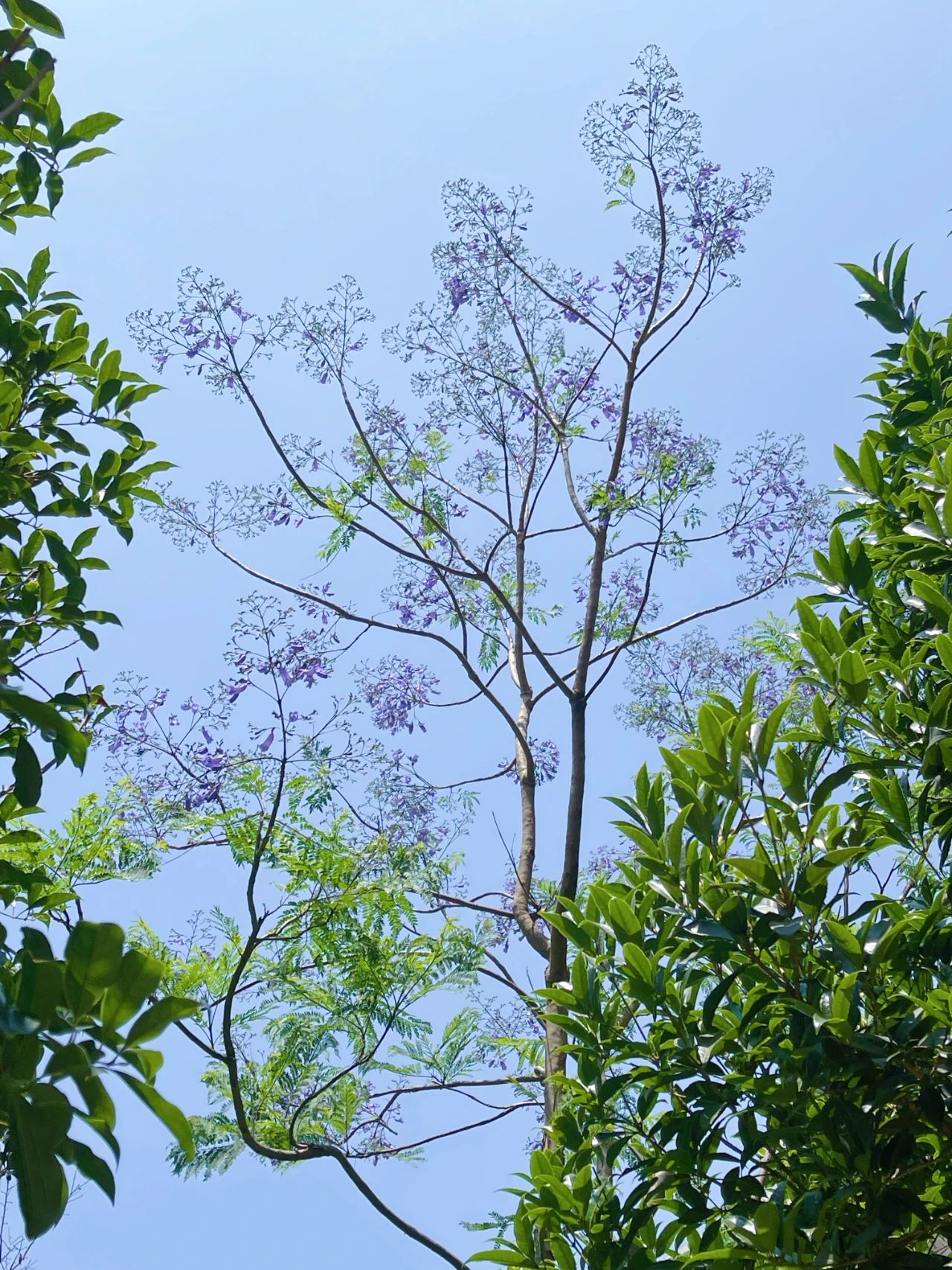 微信图片_20230506110610