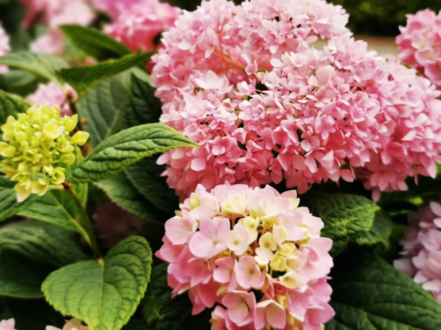 微信图片_20230519170456